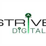 Strive Digital Private Limited 